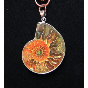 Nautilus Fossil Necklace - Image 4
