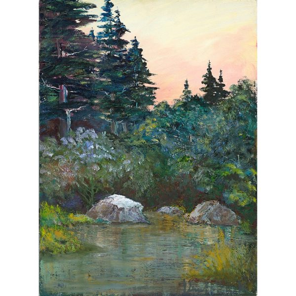 Trout Pool, Bethel Maine by Artist Elena Ballock
