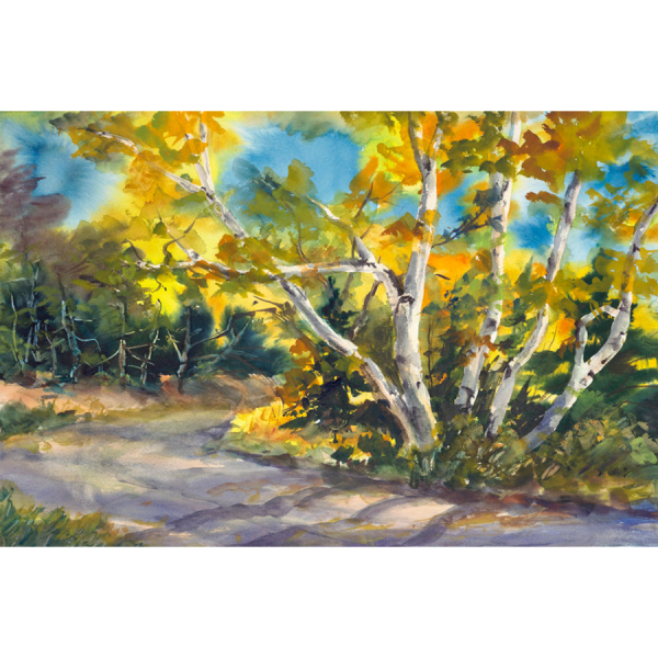 Roadside Birches