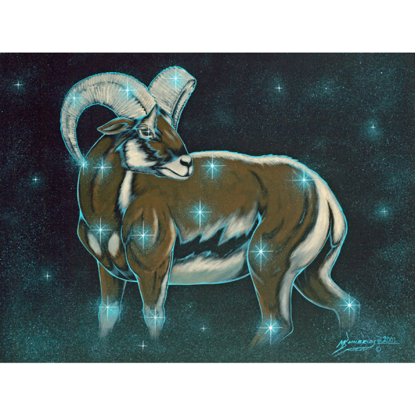Tsetah Dibé - TimeKeeper For The Nightway Ceremony