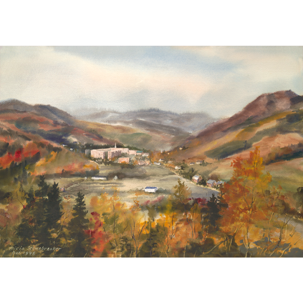 Norwich University Collection - Image 3